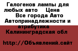 Галогенов лампы для любых авто. › Цена ­ 3 000 - Все города Авто » Автопринадлежности и атрибутика   . Калининградская обл.